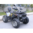 Квадроцикл MOTOLAND 200 WILD TRACK X (2020 г.)