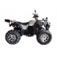 Квадроцикл Wels ATV Thunder LUX 2020г.