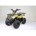 Квадроцикл ATV 110 RIDER