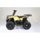 Квадроцикл ATV 110 RIDER