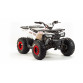 Квадроцикл MOTOLAND ATV 125 WILD (2020 г.)