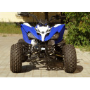 Квадроцикл MOTOLAND ATV 250 DAKAR (2020 г.)