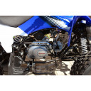 Квадроцикл MOTOLAND ATV 250S с водяным охлаждением (2020 г.)
