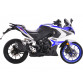 Мотоцикл Racer Storm RC250XZR-A (2021 г.)