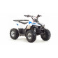 Квадроцикл Motoland ATV 110 EAGLE (2020 г.)