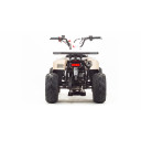 Квадроцикл Motoland ATV 110 EAGLE