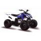 Квадроцикл MOTOLAND ATV 125S (2020 г.)