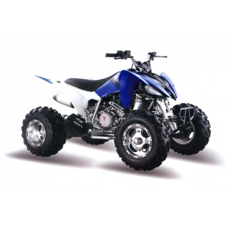 Квадроцикл MOTOLAND ATV 250S с водяным охлаждением (2020 г.)